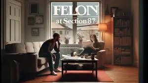 how long can a felon live with someone on section 8